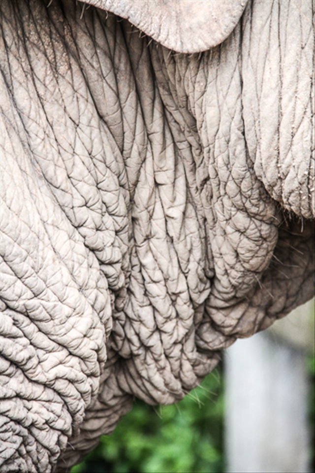 Way beyond the help of wrinkle cream