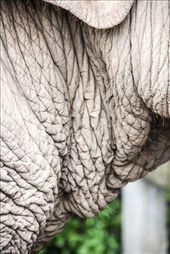 Way beyond the help of wrinkle cream: by reburwell, Views[238]