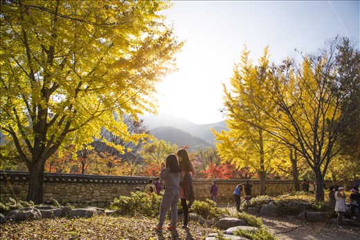 The younger generations travel experience is incomplete without a selfie shot. Or 200. 