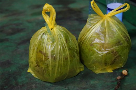 Take-away coconuts for a hot day which we can never escape despite the frequent heavy downpour; coconuts are wrapped in plastic bags for convenient carrying purposes as we quench our thirst with the refreshing coconut water. Almost everything in my home country can be taken-away (or in local colloquial terms, tapao). The fruit-seller would zealously chop the coconut open with a well-sharpened blade, creating an almost-pentagon shape and insert a straw. Then he wraps it up in a plastic bag for tapao. 