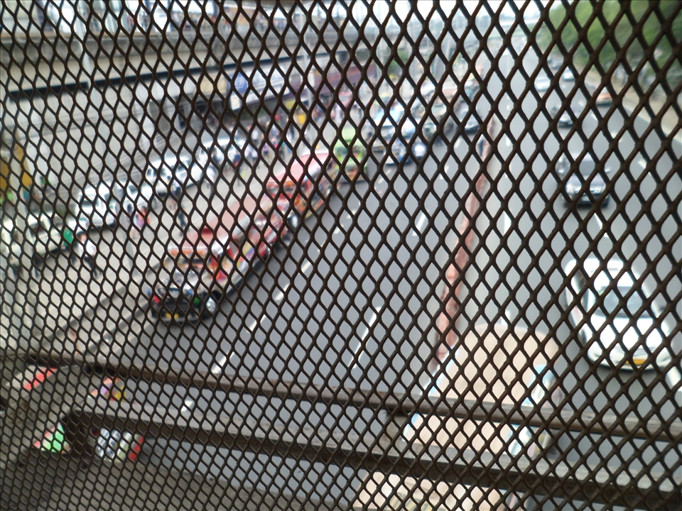 Urban Jungle 4: The bees