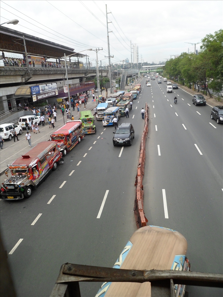 Urban Jungle 3: The ants