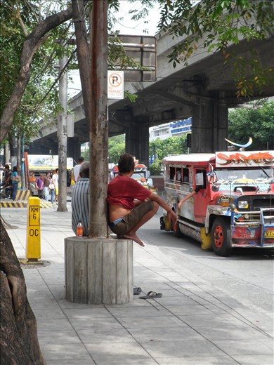 Urban Jungle 2: The Tarzan of the streets