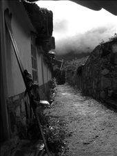 by reilly, Views[266]