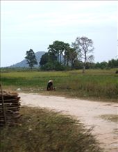 This woman was working alone in the field, few seconds to capture the moment: by reiseviaje, Views[319]