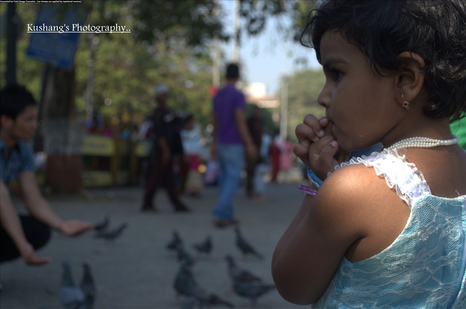 what to do and what not??