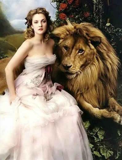 Lions are friends you haven't met