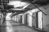 Genslerstrasse, Berlin. Tucked away in a leafy Berlin suburb lies an unassuming compound surrounded by guard towers and barbed wire. Formerly an infamous Stasi prison, it is now home to the Berlin- Hohenschönhausen Memorial. 
Stepping through the heavy metal door into one of the cellblocks, the air is cold and damp, and the bright afternoon sunshine outside seems to have been consumed by a much darker world. This particular block was nicknamed the “submarine”, as it is underground and does not get much natural light. : by renhuiyoong, Views[802]