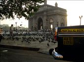 A regular morning looks like this at Gateway of India, Mumbai: by renuka, Views[261]