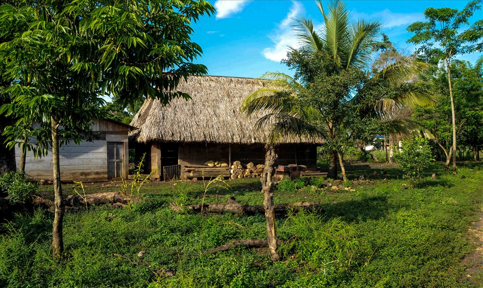 The house of my pupis