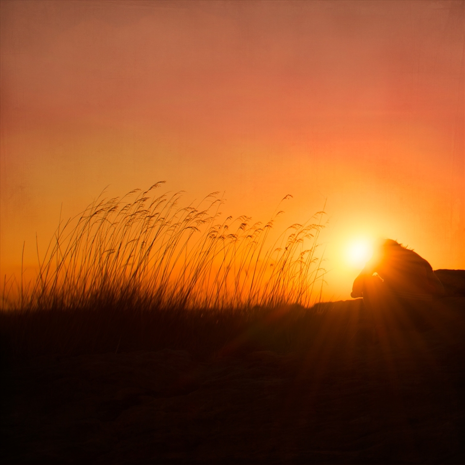 Sunset at Ubirr Rock NT Australia