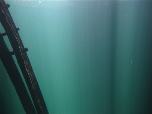 On the stunning Yucatán Peninsular of Mexico, numerous Cenotes, or sinkholes, reveal underground pools of freshwater and caverns to explore. This ladder is at the Cenote Calavera, nicknamed 'The Temple of Doom' in Tulum. Most people take the 3m plunge to enter the water, but for some, this ladder is more appealing.  