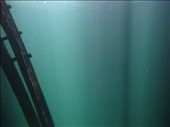 On the stunning Yucatán Peninsular of Mexico, numerous Cenotes, or sinkholes, reveal underground pools of freshwater and caverns to explore. This ladder is at the Cenote Calavera, nicknamed 'The Temple of Doom' in Tulum. Most people take the 3m plunge to enter the water, but for some, this ladder is more appealing.  : by rexy, Views[765]