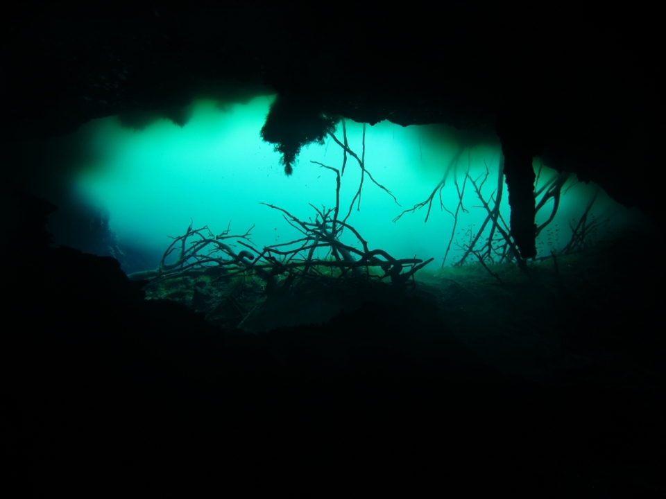 You reach this spectacular view after coming out of a series of darker tunnels. Though there is always natural light, the urge to swim quickly 'towards the light' is strong. 