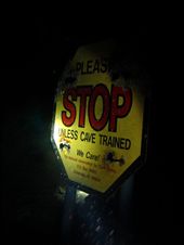 Technically a cavern, most cenotes do not require a Cave Certification. This sign (and the quickening darkness) was enough to give me the jitters, which made it difficult to point my torch and hold the camera steady! : by rexy, Views[366]