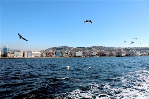 An izmir bay. Scene from ferry that crossed Alsancak to Karşıyaka. We feed those birds with biscuits from the ferry
