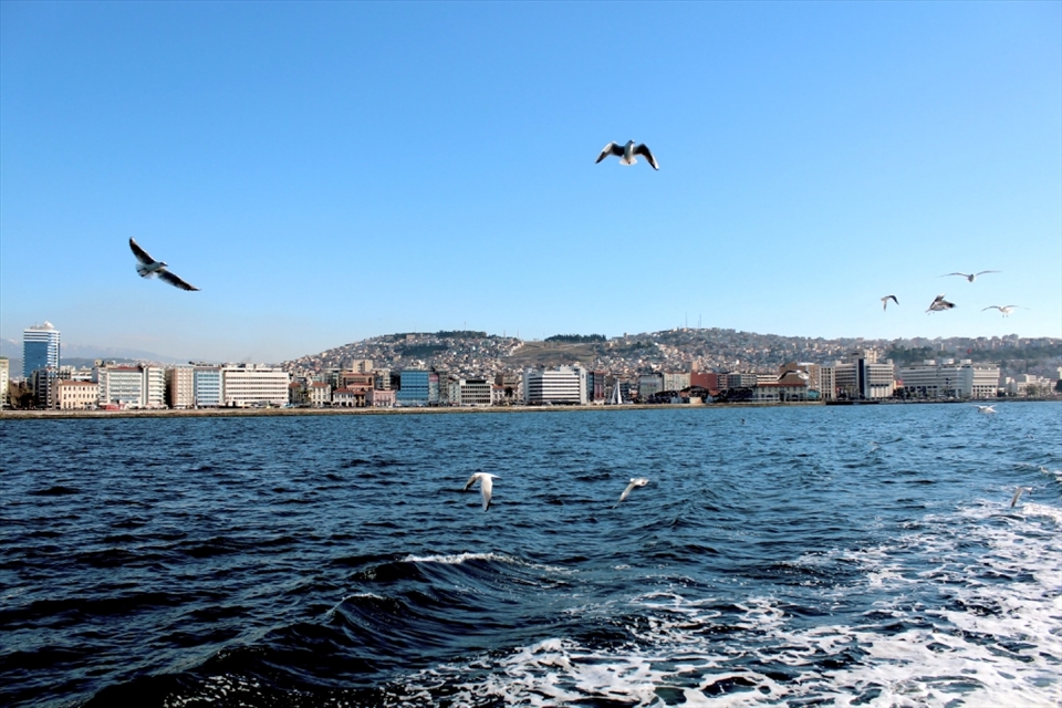 An izmir bay. Scene from ferry that crossed Alsancak to Karşıyaka. We feed those birds with biscuits from the ferry