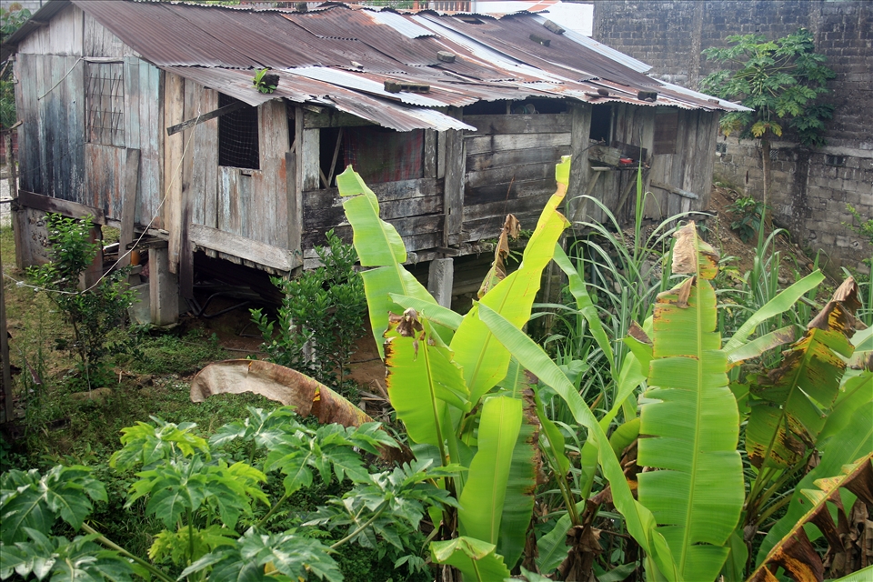 A wood shanty in the jungle of the rain forest near the Napo River