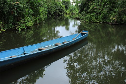 A wooden river boat in a tributary of the Napo River in the rain forest