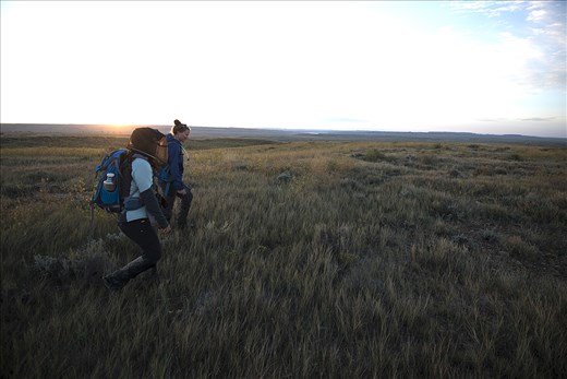 LandMark is citizen science collaboration on the American Prairie Reserve in North Eastern Montana. Groups of Adventures and Scientists for Conservation volunteers hike 10 mile daily trensects collecting background wildlife data for reserve management. 