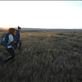 LandMark is citizen science collaboration on the American Prairie Reserve in North Eastern Montana. Groups of Adventures and Scientists for Conservation volunteers hike 10 mile daily trensects collecting background wildlife data for reserve management. : by rhys_morgan, Views[210]