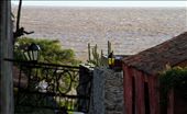 Love the way that this photo converge a lot of information. The variety of vegetation, the local store and the first house constructed at Colonia del Sacramento´s city.: by ricardomarques, Views[589]