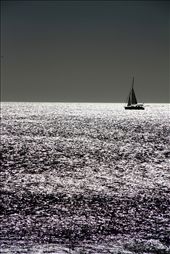 Sailboat seems to be attached  to the sea. Almost like a drawing on the horizon.: by ricardomarques, Views[944]
