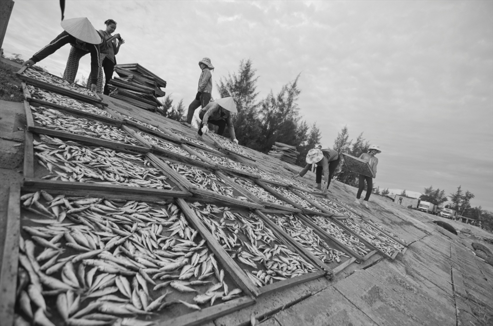 At the pier, the fish is placed on these nets to dry up. After this, they are placed in tanks with salt so that they can be preserved and carried to the villages which are further away.