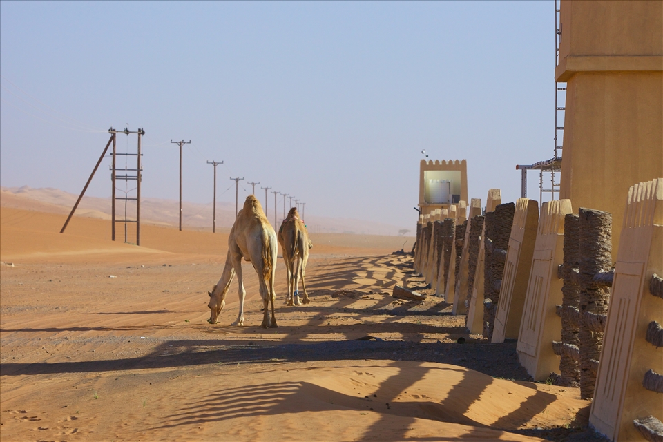 Authentic camel breakfast in the desert