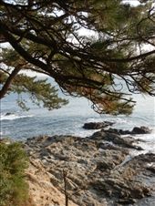 by richardsontattoos, Views[123]