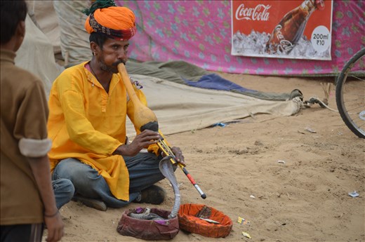 Snake charmer