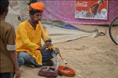 Snake charmer: by richardwatkins, Views[202]