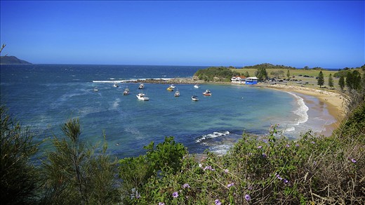 Boats in the Terrigal  Haven