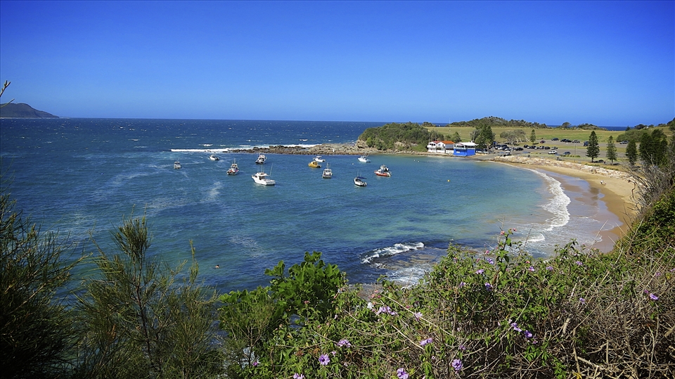 Boats in the Terrigal  Haven