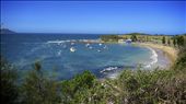 Boats in the Terrigal  Haven: by richietofu, Views[223]
