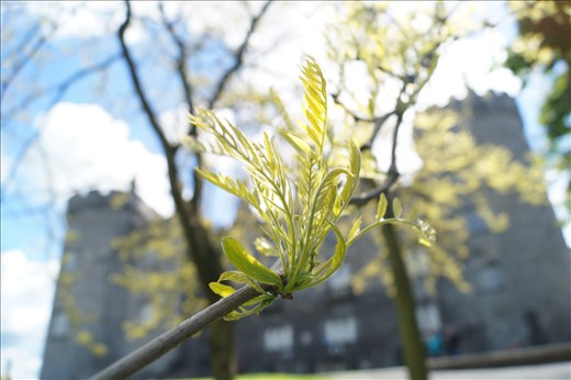 Kilkenny castle