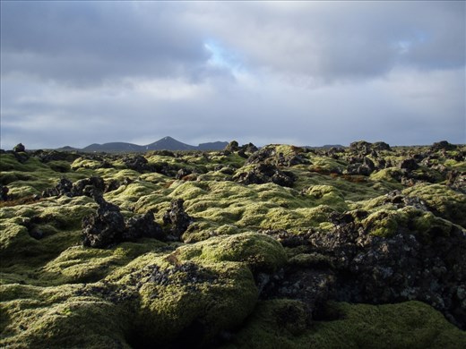 Hard lava rocks hidden by soft moss. Rough landscape with no trees looks more like unknown planet from science fiction than the place on Earth.