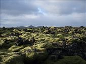 Hard lava rocks hidden by soft moss. Rough landscape with no trees looks more like unknown planet from science fiction than the place on Earth.: by rima-virbauskaite, Views[254]