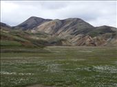 Landmannalaugar trail really deserves one of most beautiful trails name. Amazing color palette looks like an artist painting rather than nature creation.: by rima-virbauskaite, Views[287]