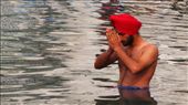 Worship: in the Sarovar (Sacred Pool) of The Golden Temple in Amritsar. : by rimaledrifter, Views[814]