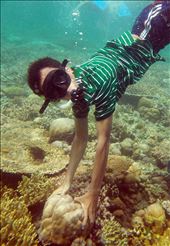 go deep, explore menjangan Island: by riskyudha, Views[300]