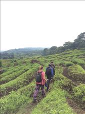 Trekking through Farm fields on the way into the park: by riverstrails, Views[409]