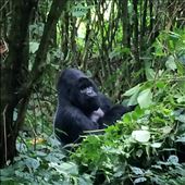 by riverstrails, Views[456]