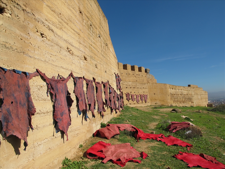 Wanting to get away from the craziness inside the Medina in Fes, I hiked up the graveyard to remains of old town walls, where leather lay in the sun. 