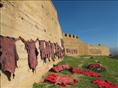 Wanting to get away from the craziness inside the Medina in Fes, I hiked up the graveyard to remains of old town walls, where leather lay in the sun. : by rminnille, Views[413]