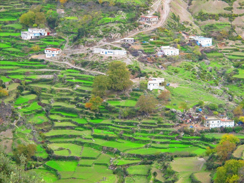 I did a 2 day hike into the rif mountains, to a town called Akchour. These are their crop fields, it had just rained.