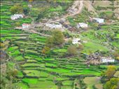 I did a 2 day hike into the rif mountains, to a town called Akchour. These are their crop fields, it had just rained.: by rminnille, Views[1354]