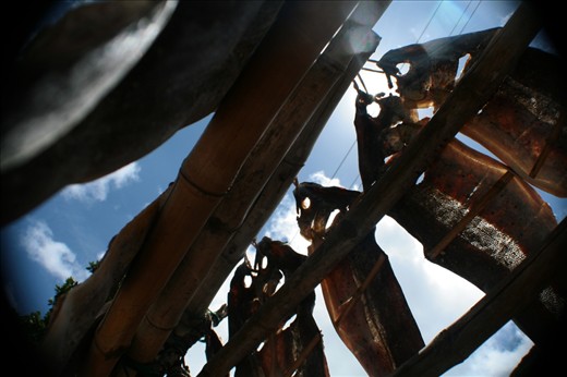 Freshly-caught fish are dried for a day at Diurra, a seaside fishing village in Batanes.

