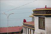 Not much, just chilling! Rumtek, the most revered Tibetan Buddhist monastery in Sikkim.: by roadhouseblues, Views[297]