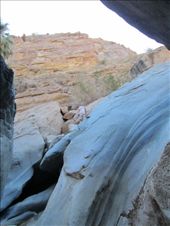 by roaming_reas, Views[226]